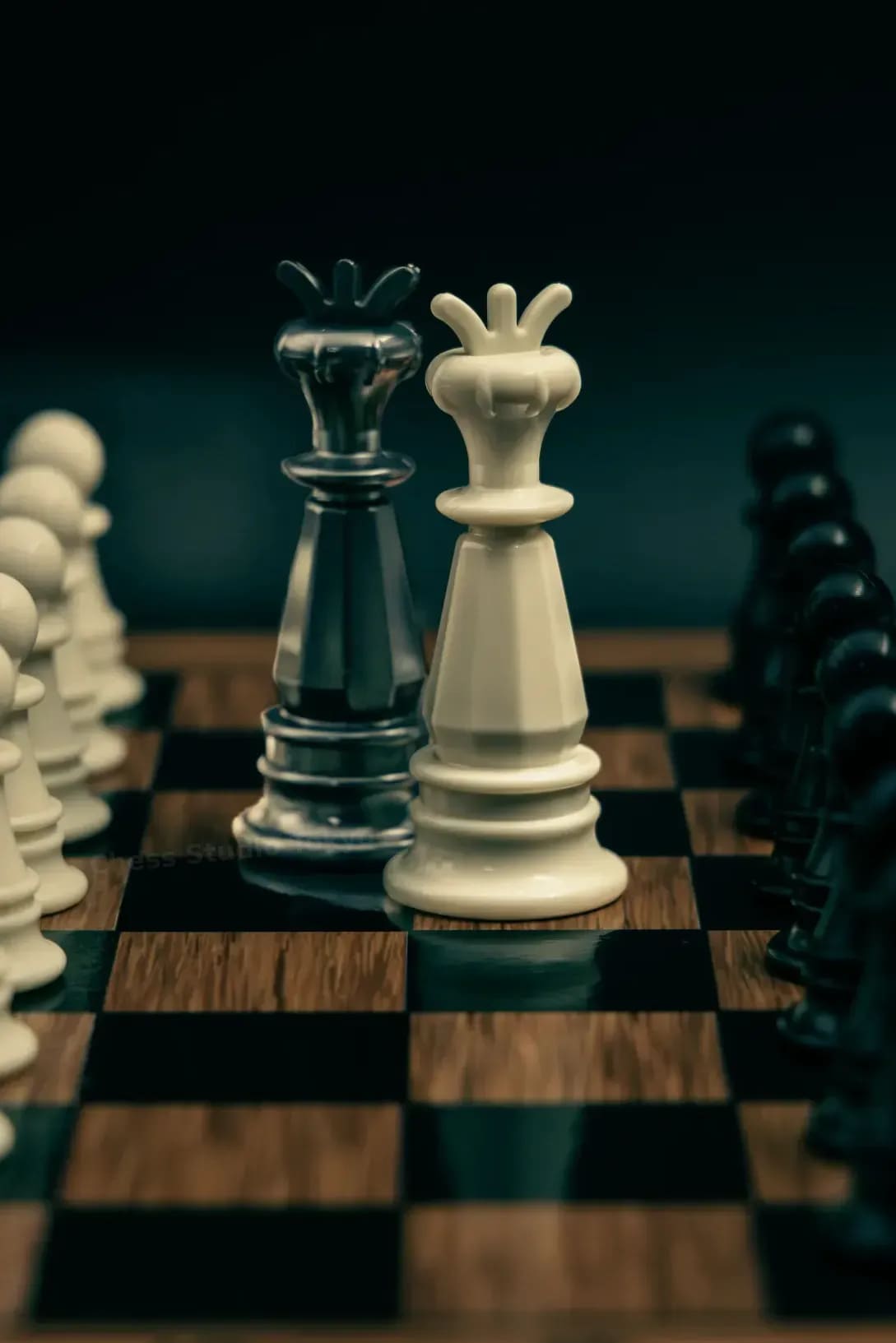 Chess Studio Tokyo 13