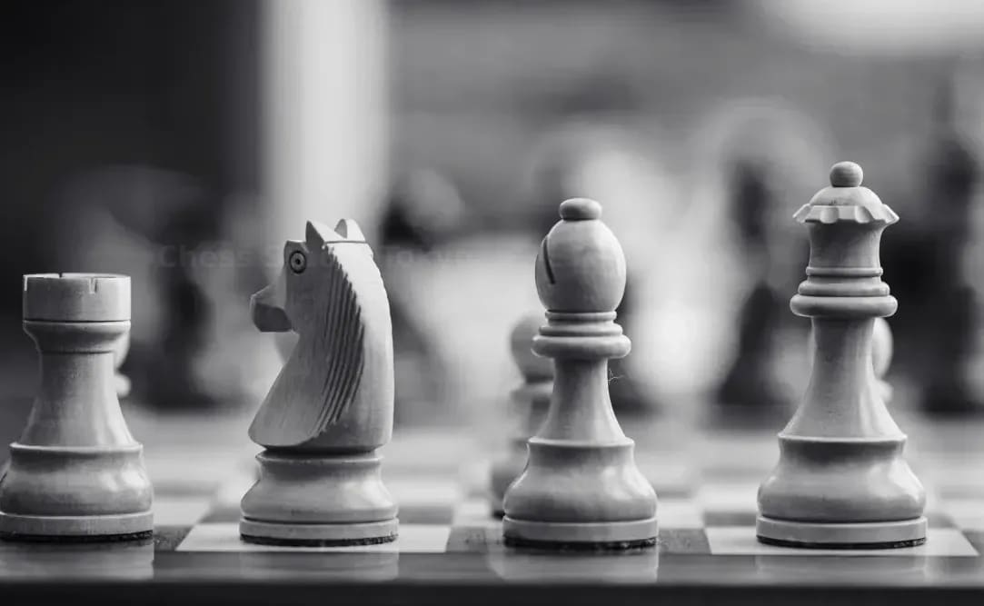 Chess Studio Tokyo 5